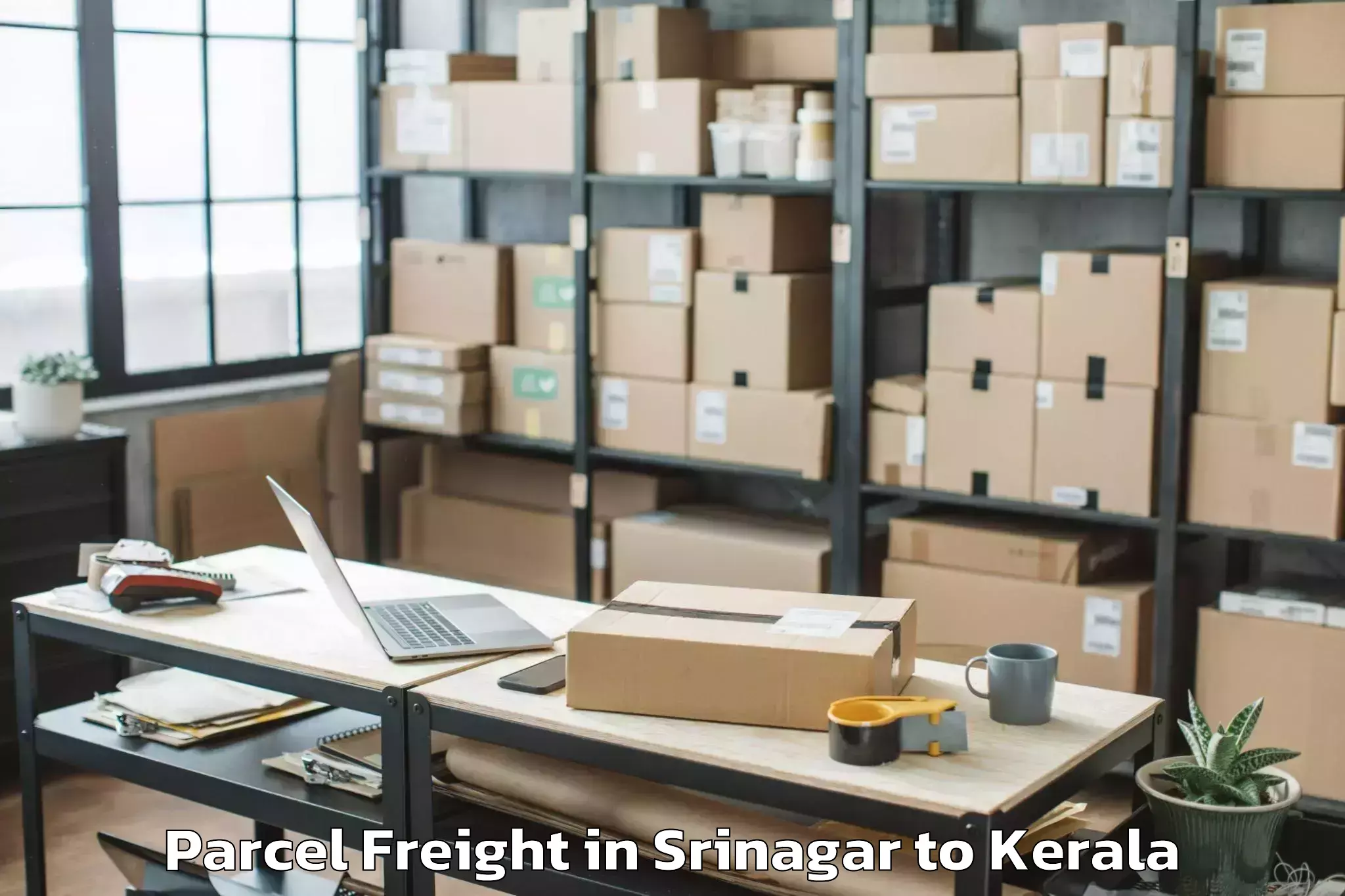 Reliable Srinagar to Shoranur Parcel Freight